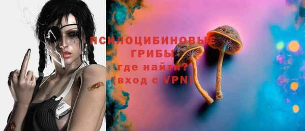 дурь Алексеевка
