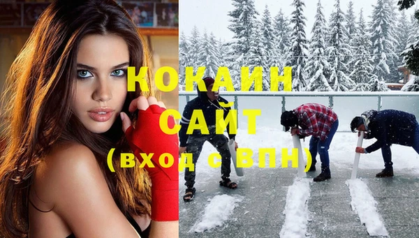 тгк Алексин