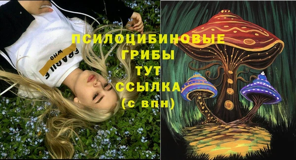 тгк Алексин
