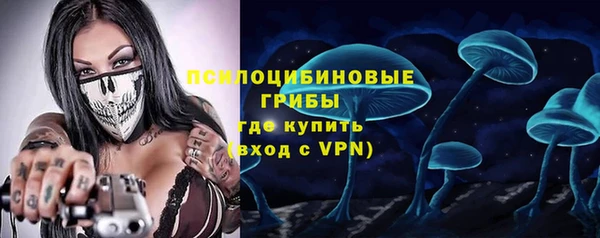 дурь Алексеевка