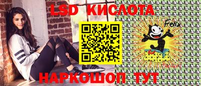 метадон Гай