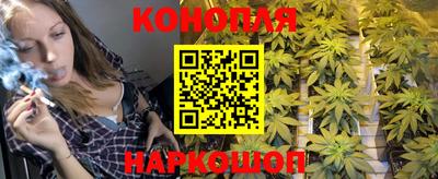 скорость Гусев
