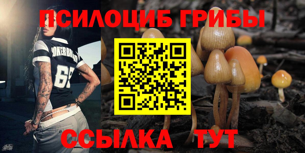 Галлюциногенные грибы GOLDEN TEACHER Березники